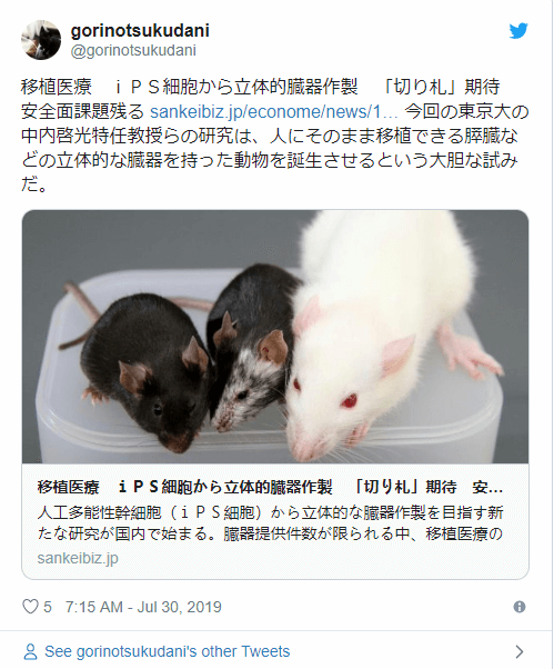 日本进行人兽胚胎杂交实验 让老鼠体内长出可移植人类的器官 奇点资讯